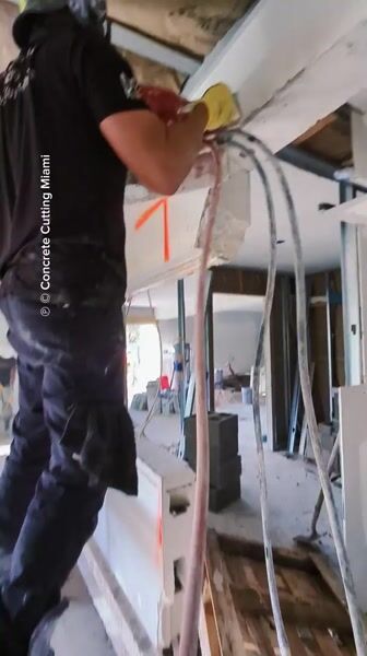 Last day cutting inside the property